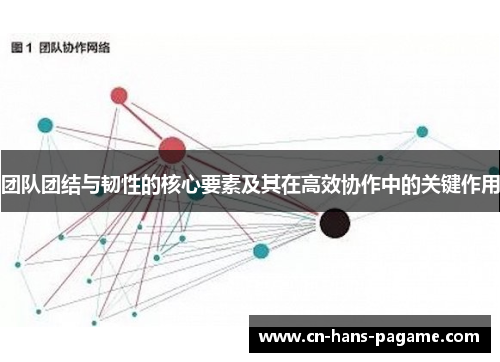团队团结与韧性的核心要素及其在高效协作中的关键作用